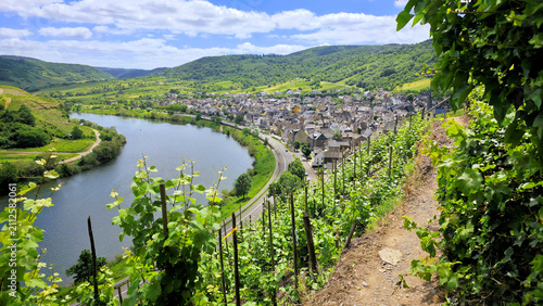 Obraz na płótnie The beautiful Mosel river and town of Bremm, Germany through green vineyards dur