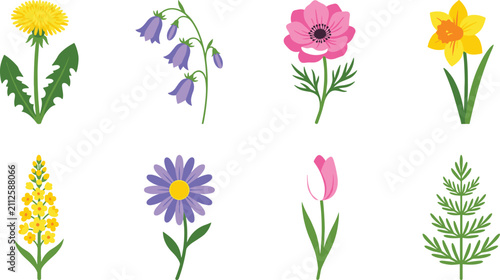 Foto Spring Wildflowers Dandelion Bellflower Anemone Daffodil Botanical Vector Illust
