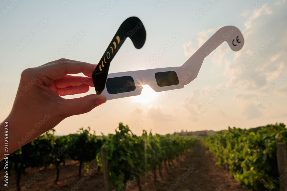 Obraz premium Hand holding certified solar eclipse viewing glasses against the bright sun in a vineyard landscape at sunset. The protective eclipse glasses are silhouetted by warm sunlight.