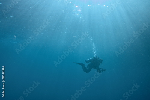 scuba diver and underwater world