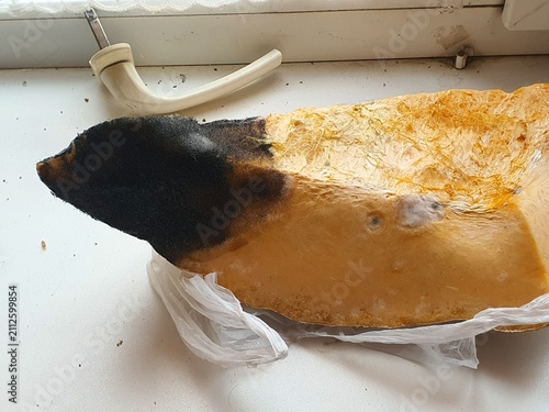 фотографія A large piece of dried food, likely dried fruit or traditional preserved produce, resting on a white windowsill