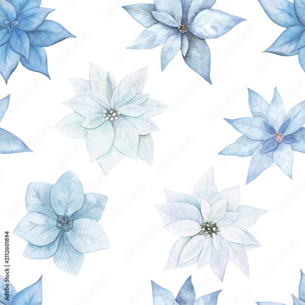 Obraz premium Christmas seamless pattern. Hand drawn waterrcolor illustration with poinsettia on white background. Winter flowers
