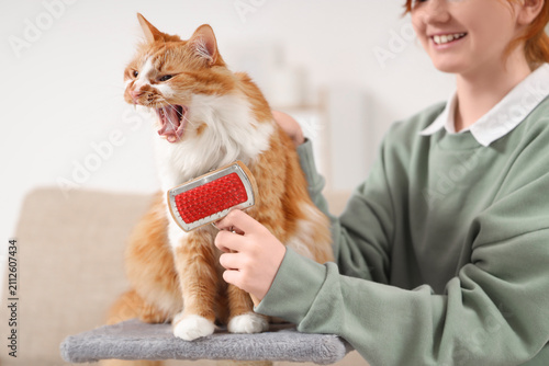 Teenage girl brushing fluff...
