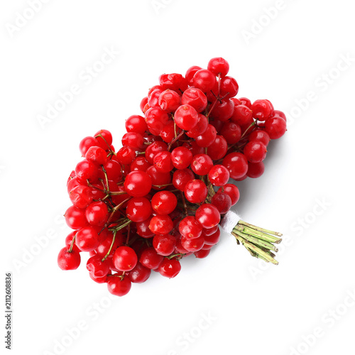Bunch of fresh viburnum berries on white background