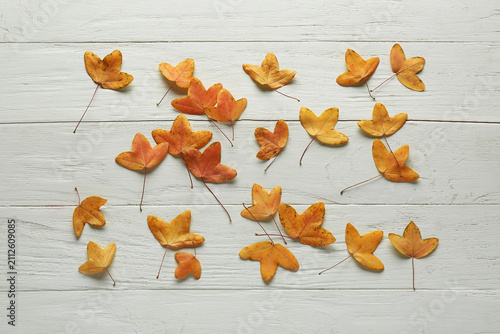 Fotografie Composition with autumn leaves on white wooden background