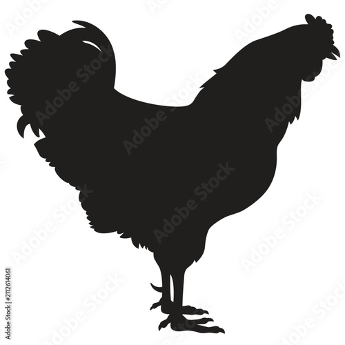 Rooster Silhouette on white background