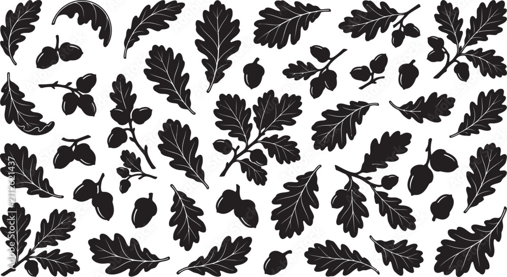 Fototapeta premium Collection of hand drawn oak leaves and acorns isolated on a white background design element