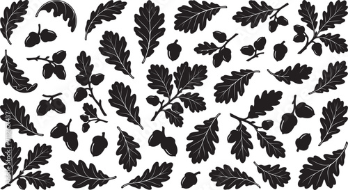 Collection of hand drawn oak leaves and acorns isolated on a white background design element