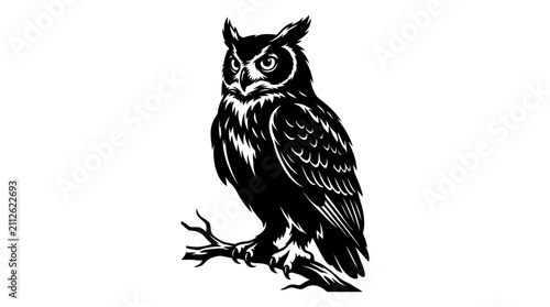 Quadro su tela Detailed illustration of an owl.