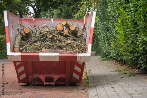 Skip Dumpster on The Roadside Loaded with Wooden Logs and Tree Branches