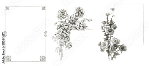 Set of vintage decorative floral line frames isolated on transparent background. Vintage ornamental borders for text, invitations, certificates, manuscripts and graphic design