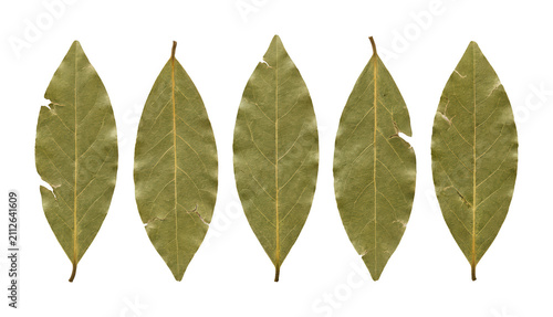 Aromatic bay leaf png Herbal bay leaf cutout Organic bay leaf png