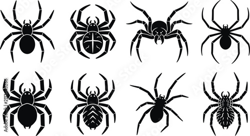 Konstfotografi Set of eight black spider silhouettes with various body shapes and leg positions