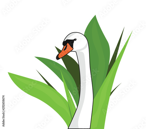 White swan with an orange beak surrounded by green leaves. Simple colorful vector illustration.