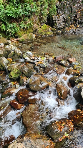Canvas Print Eau coulant à travers les rochers et galets d'un ruisseau de montagne (cascade d