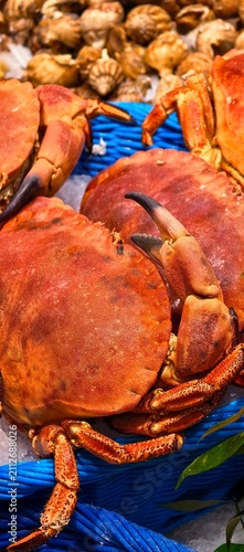 Cooked Brown Crabs Displayed on Ice at Seafood Market 