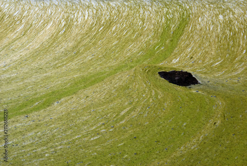 Algal bloom mats in stream below reservoir in early autumn