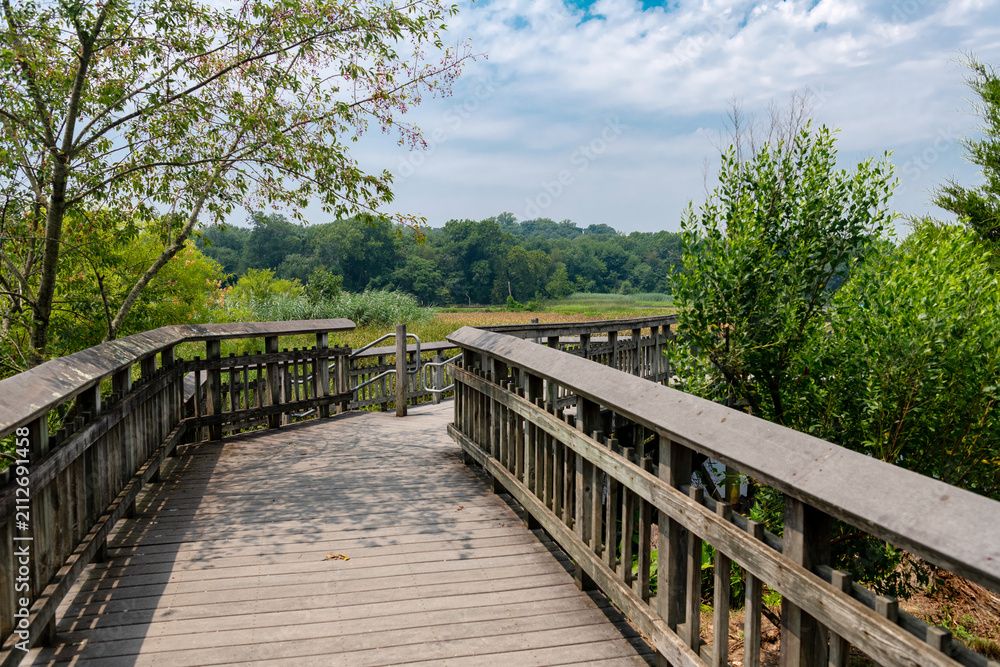 Obraz premium Scenic Wetland Boardwalk Inside Kenilworth Aquatic Gardens Washington DC Nature Preserve