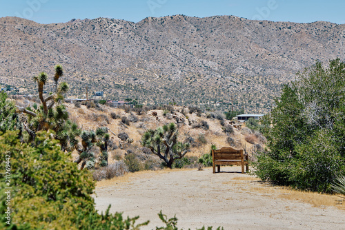 Foto Desert hiking trail with a wooden bench, Joshua trees and rugged mountains under a clear blue sky