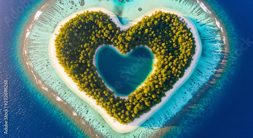 Heart Shape Island Tropical Lagoon Palm Trees Aerial View