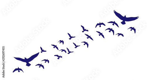 Cuadro en lienzo Blue silhouettes of a flock of migratory birds flying in the sky vector illustra