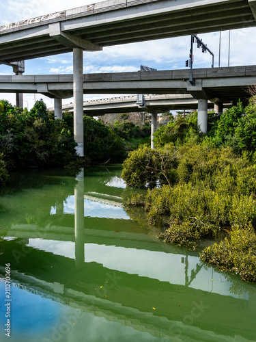 Canvastavla Reflections of cantilevered roading infrastructure above natural vegetation in Oakley Creek and inlet in Waterview Reserve