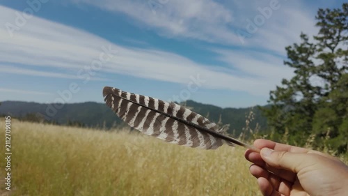 Hand holding a striped hawk feather in California hills
