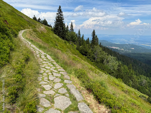 Scenic Mountain Hiking Trail with Panoramic View of Karpacz in the Karkonosze Mountains, Poland on a Sunny Summer Day