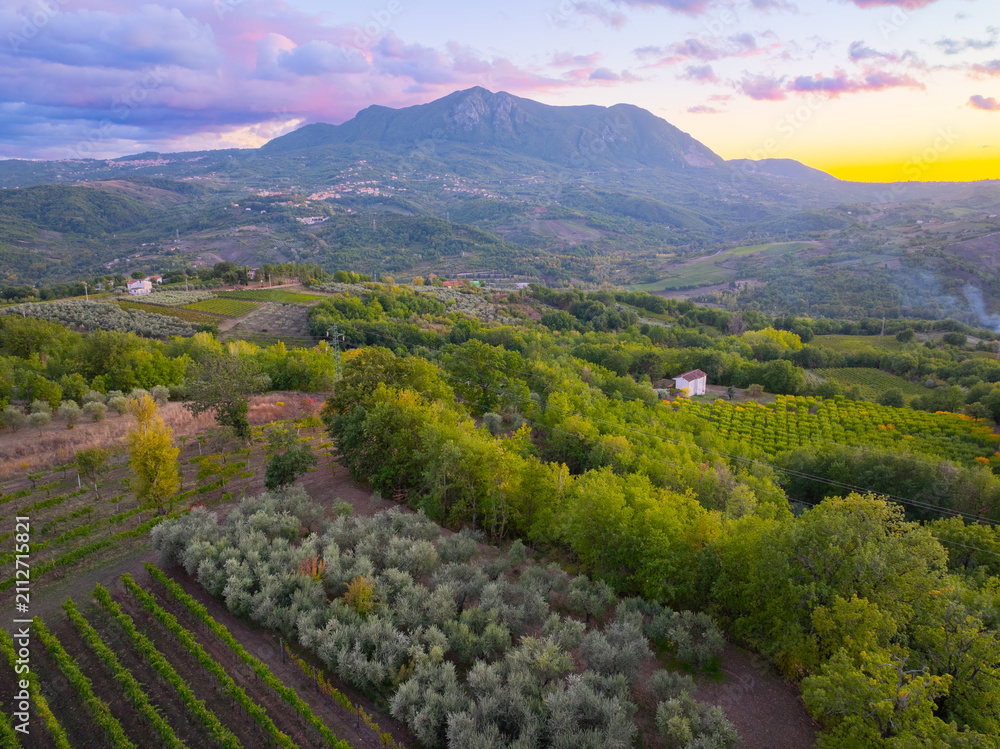 Obraz premium Aerial Drone View of Irpinia Vineyard at Sunset, Italy