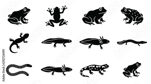 Bild auf Leinwand Collection of Amphibian and Reptile Silhouettes.