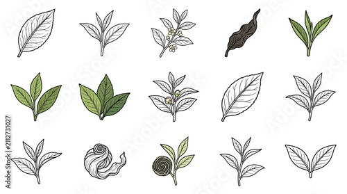 Tea Leaves and Sprouts Collection: Hand-Drawn Illustrations