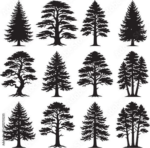 Pine Tree Silhouettes Collection Coniferous Forest Fir Trees Vector Illustration