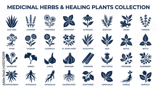 Fotografie Medicinal Herbs and Healing Plants Collection Icons