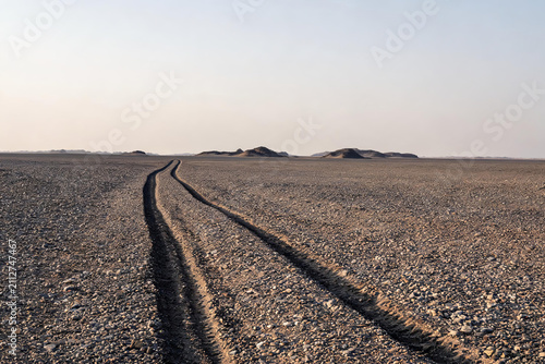 A vast arid desert plain marked by two distinct tire tracks stretching toward distant low mounds under a pale sky.