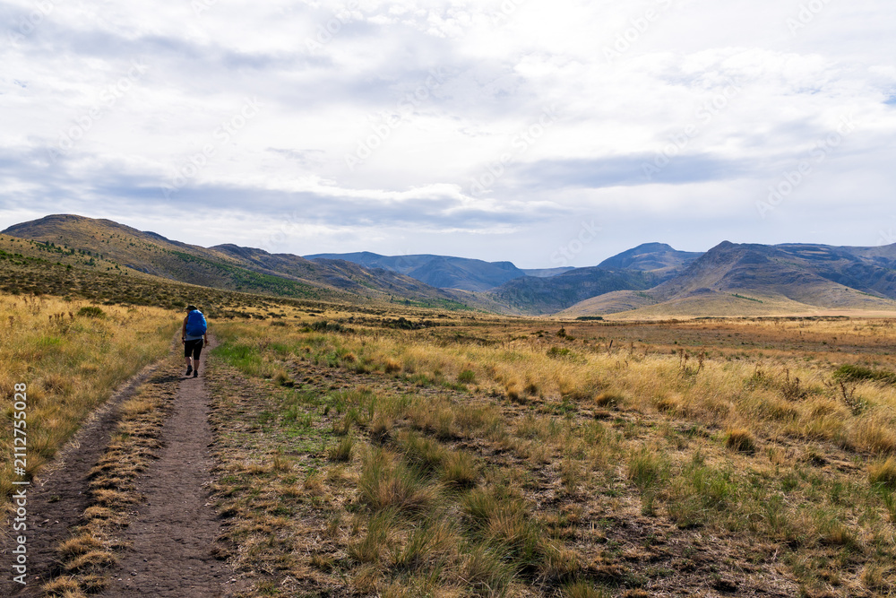 Fototapeta premium Hiker in the distance hiking through argentine paja grassland