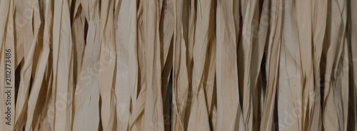 Natural raffia fringe texture background closeup, tropical straw skirt material for craft and design