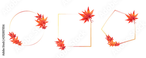 紅葉のフレームセット