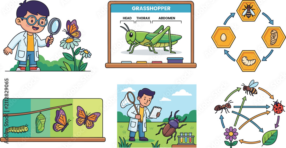 Fototapeta premium Kids entomology education vector set with cartoon child scientist insect life cycle and butterfly metamorphosis illustrations isolated on white background