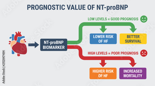 фотографія Cardiac Biomarker NT-proBNP Prognostic Value Diagram