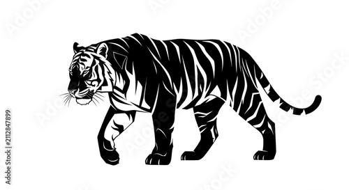 Photography A detailed black and white vector illustration of a powerful tiger walking gracefully, isolated on a clean white background