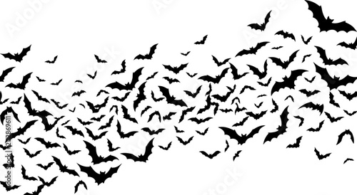 Fotografie Swarm of bats silhouette against a white background vector illustration