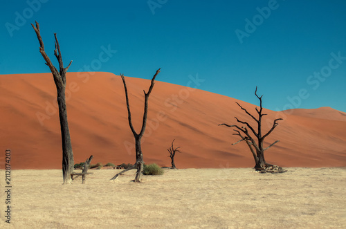 Iconic dead trees rise from the white salt and clay pan of Sossusvlei, surrounded by massive red dunes in the Namib Desert. A breathtaking symbol of Namibia’s unique landscapes and natural beauty.