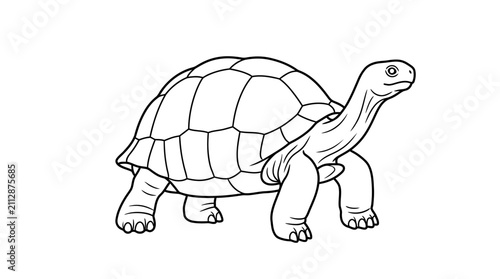 Obraz na plátně Tortoise land turtle line art illustration.