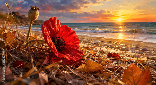 Vibrant Red Poppy and Seed Pod on a Coastal Beach at Golden Sunset
