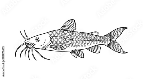 Принти на полотні Catfish illustration in black and white line art.