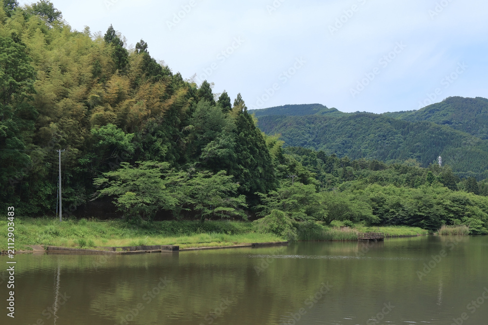 Fototapeta premium 沼と畔の森林（宮城県白石市の馬牛沼）