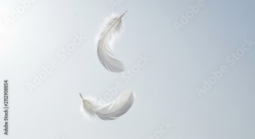 Two delicate white feathers gracefully floating against a light blue sky