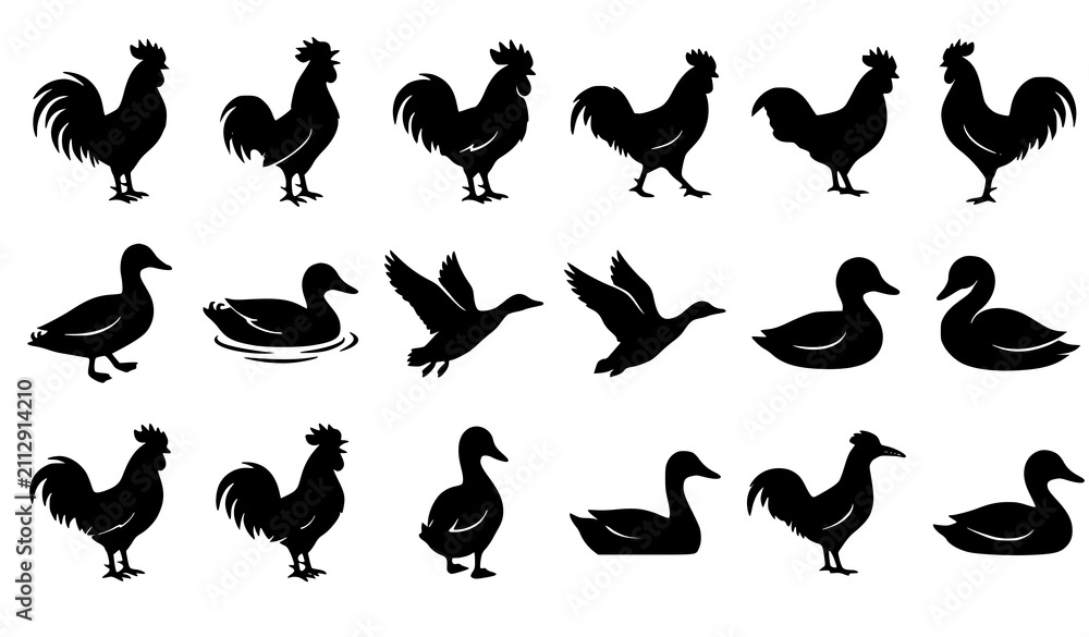 Fototapeta premium Duck and Rooster Silhouette Vector Collection for Farm Animal Logos Poultry Branding and Wildlife Illustration Design