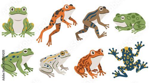 Fotografía Cartoon frog character set showing different amphibian species icons