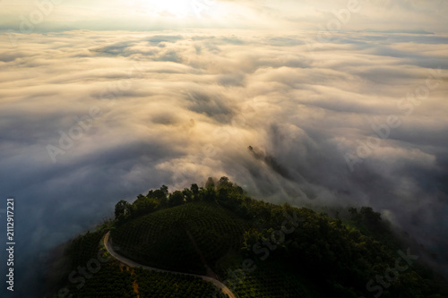 Landscape of Morning Mist with Mountain Layer. mountain ridge and clouds in rural jungle bush forest